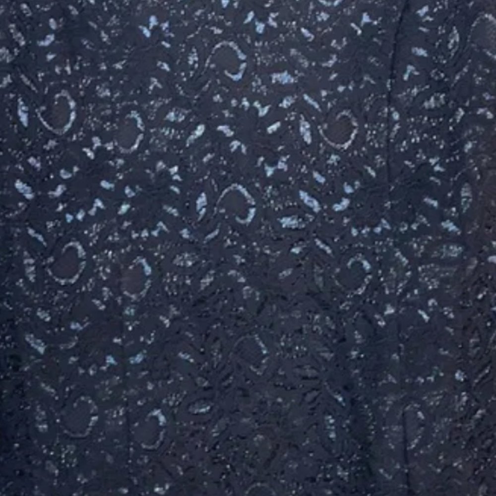 L'Wren Scott at Banana Republic Midnight Blue Lace Dress Women's Size 6 - Picture 7 of 8